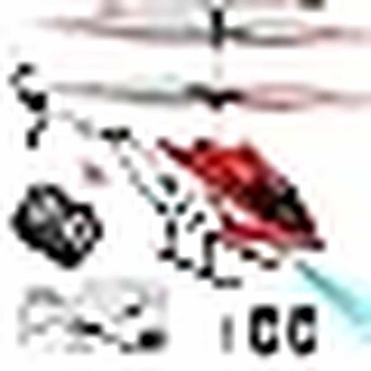 Essai Hélicoptère RC Joellfuner : vol et Fun en Intérieur