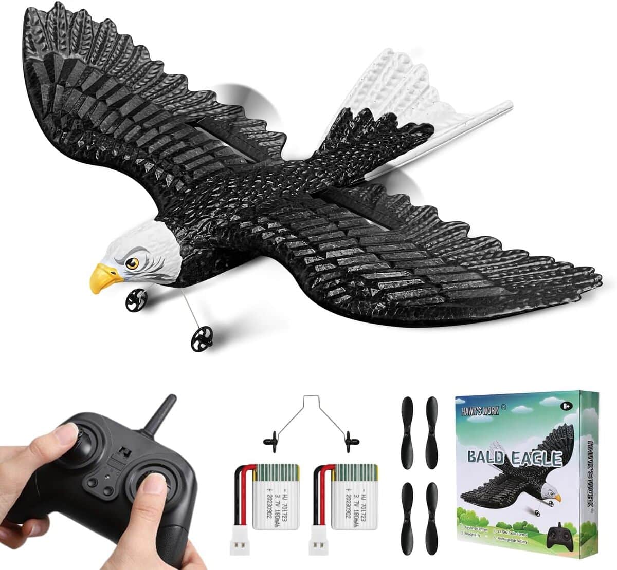 Test HAWK'S WORK RC Eagle : envolez-vous facilement !