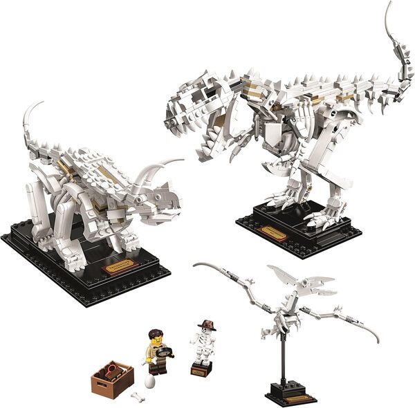 LEGO Ideas Dinosaurier-Fossilien DinosaurierFossilien 16 ans et plus (21320)