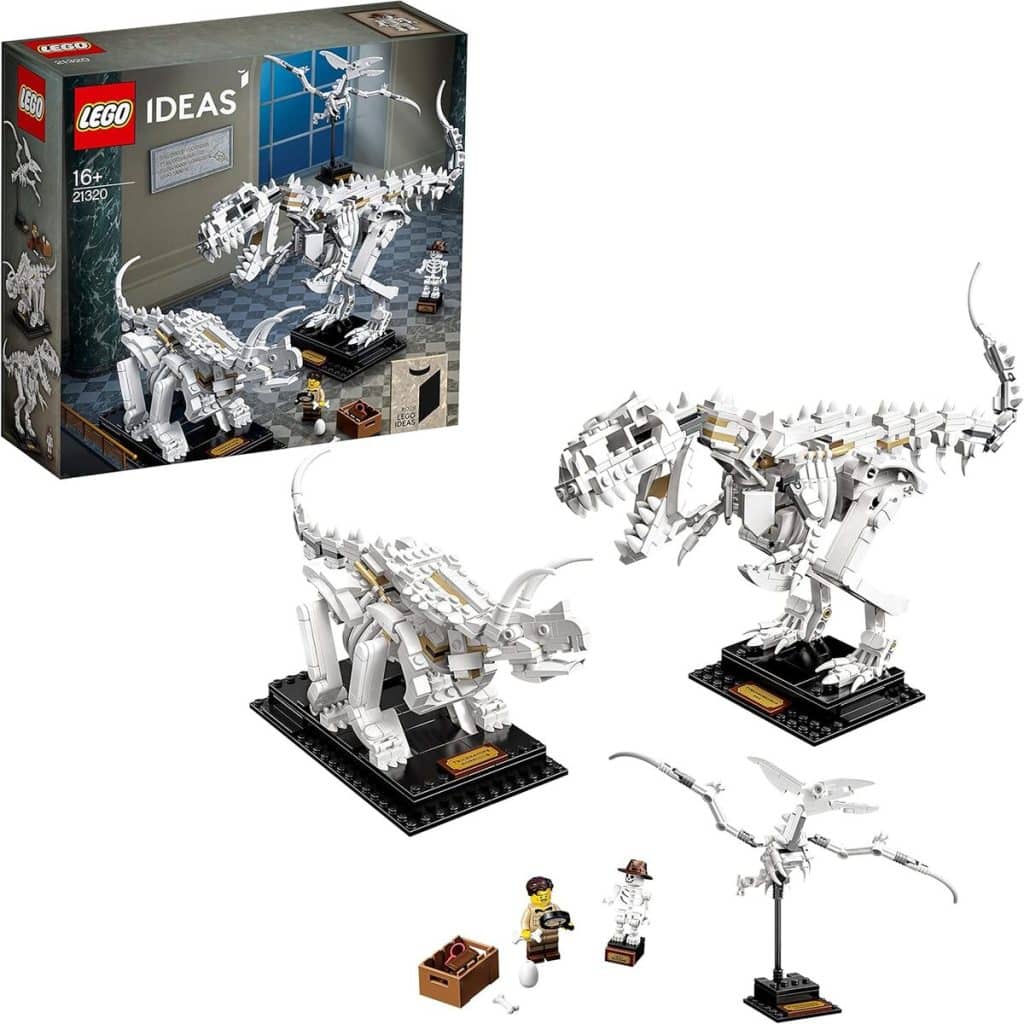 Test : lEGO Ideas fossiles de dinosaures 21320